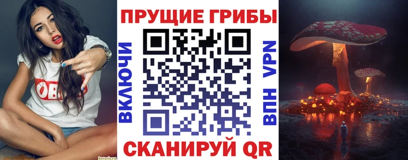 где продают наркотики  Юрьевец  hydra ссылка  Псилоцибиновые грибы Cubensis 